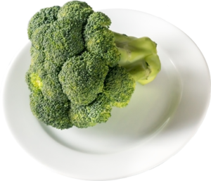 fresh broccoli on a plate