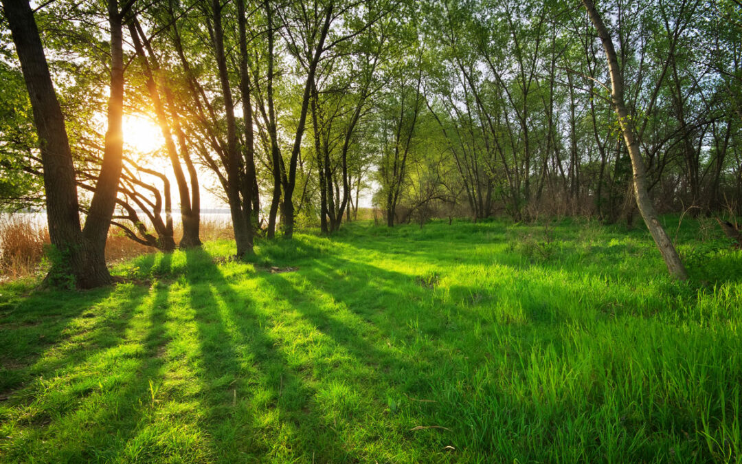 Explore Your Purpose with a Career in Hypnosis