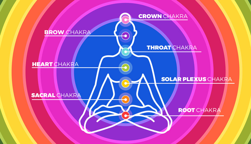 An image of the 7 chakras