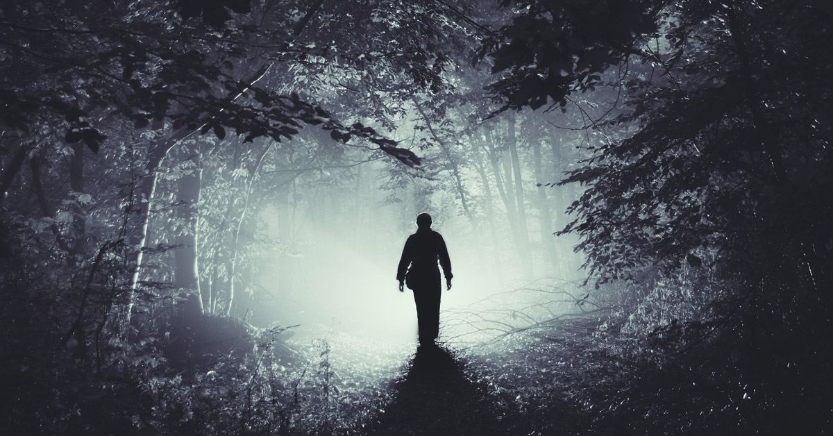 silhouette-of-man-in-mysterious-light-in-haunted-w-DY73Z2K a person walks into an eerie forest with light coming from within woods.